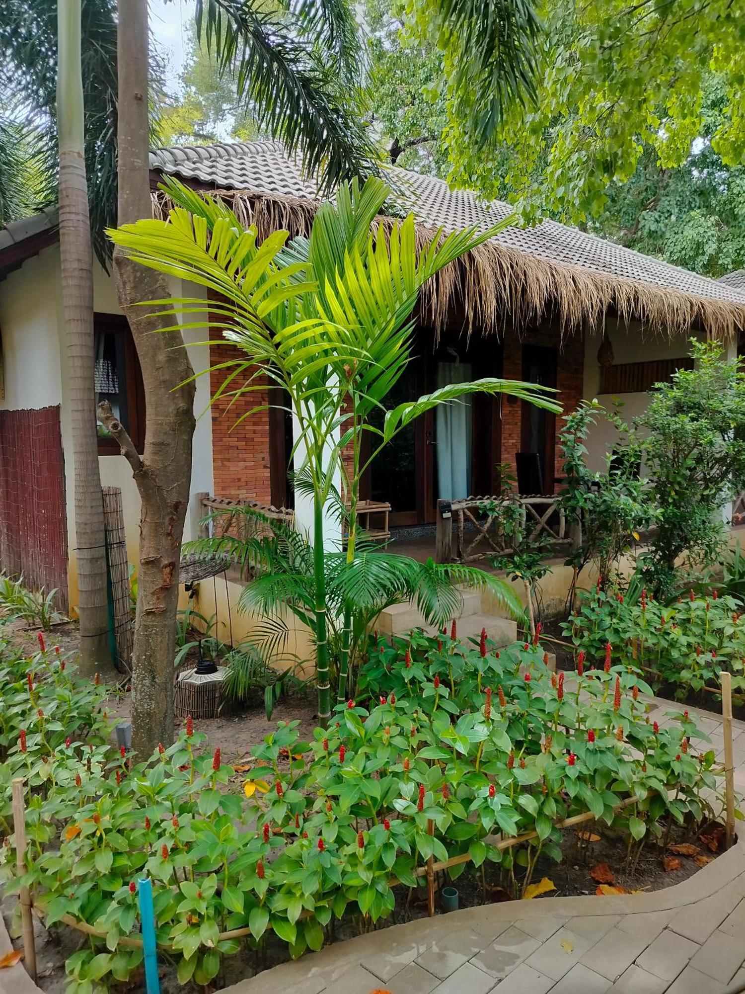 La Riviere D' Angkor Resort Siem Reap Luaran gambar