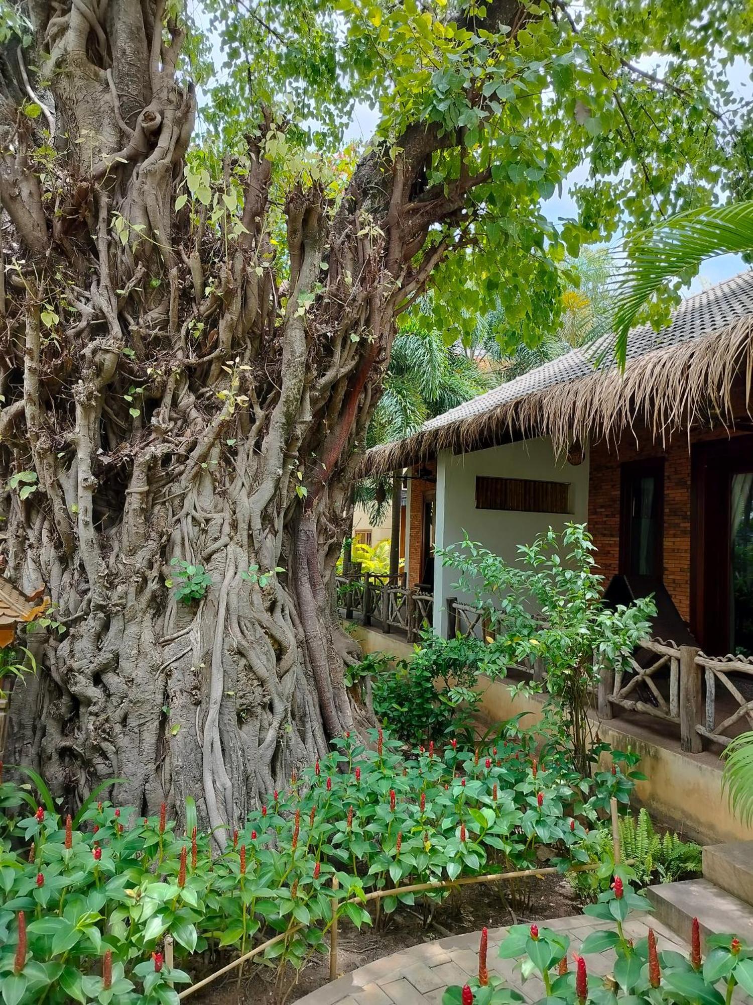 La Riviere D' Angkor Resort Siem Reap Luaran gambar